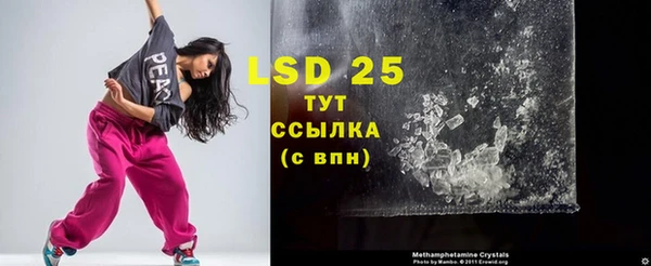 гидра Вяземский