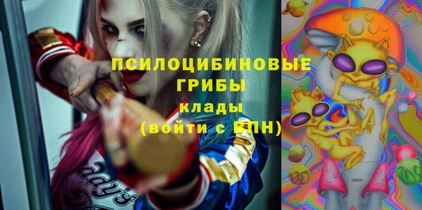 молекула духа Волосово