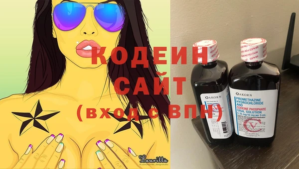 гидра Вяземский