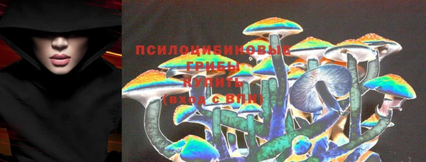 дмт Володарск