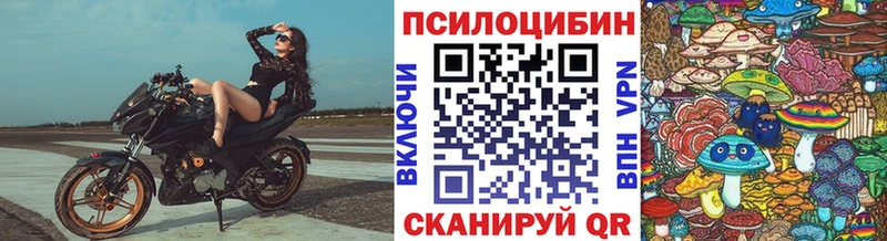 Псилоцибиновые грибы прущие грибы  Купить закладки  Тобольск 